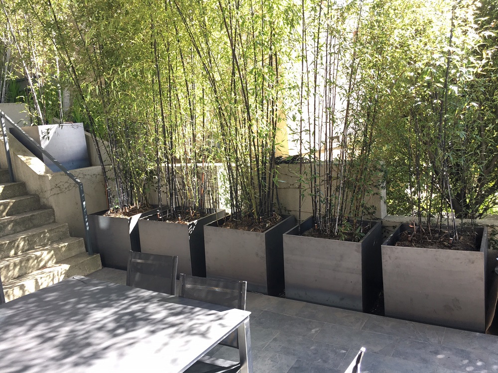 corten steel square planters bamboo california